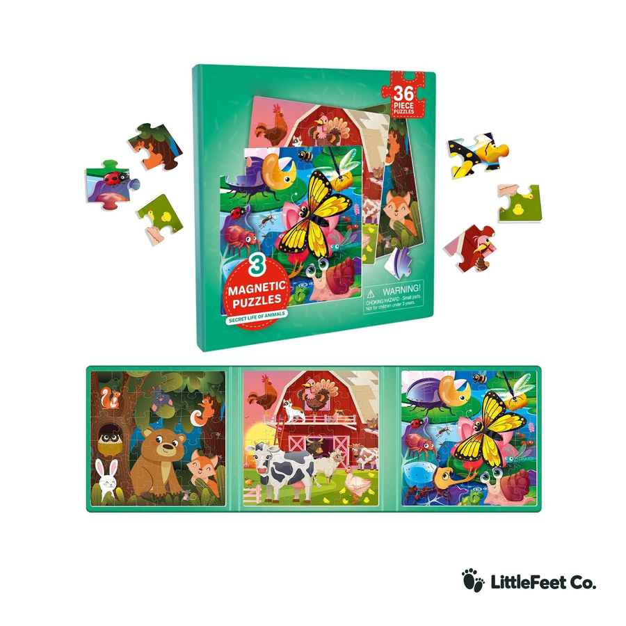 Little Explorer Magnetic Travel Puzzle Set - Travel Games for Ages 2-5