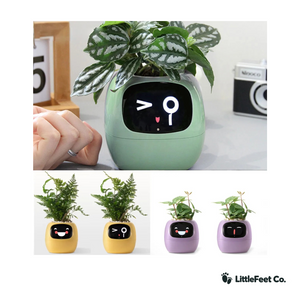 AI Smart Plant Pot - Self-Watering Planter That Teaches Kids Plant Care