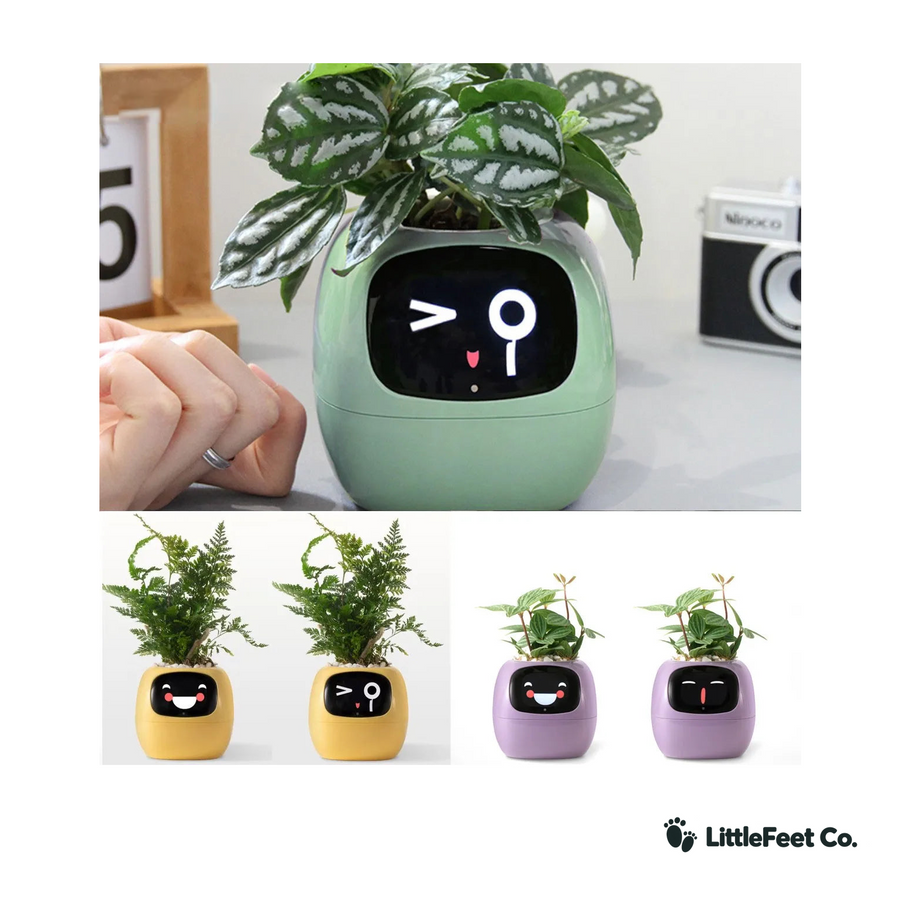 AI Smart Plant Pot - Self-Watering Planter That Teaches Kids Plant Care