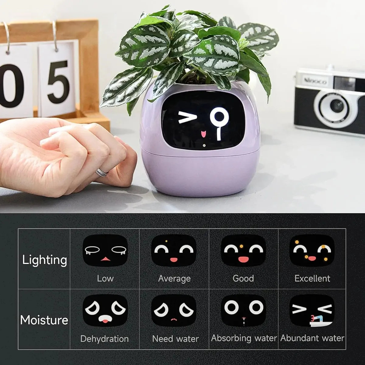 AI Smart Plant Pot - Self-Watering Planter That Teaches Kids Plant Care
